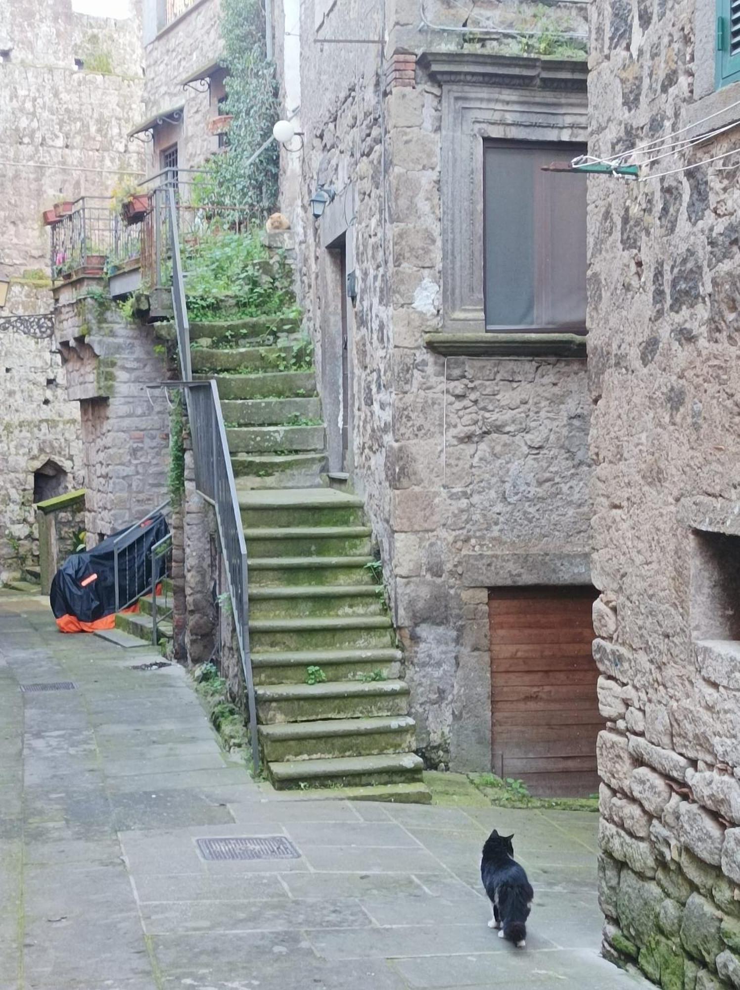 Sospesi Nel Borgo Vitorchiano Exteriör bild